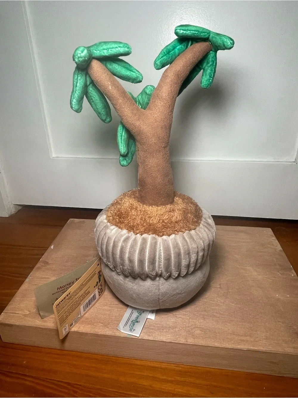 Greenhouse by Russ Money Tree Planter - Soft Green and Brown Cozy Décor